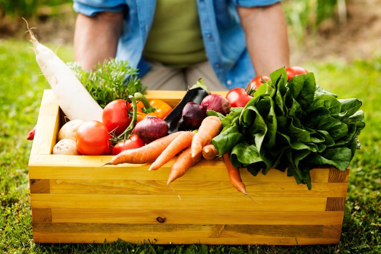 8 Razones para alimentarse saludablemente